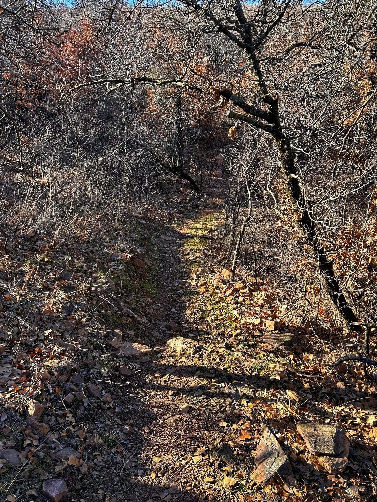 Medicine Park Orange Trail