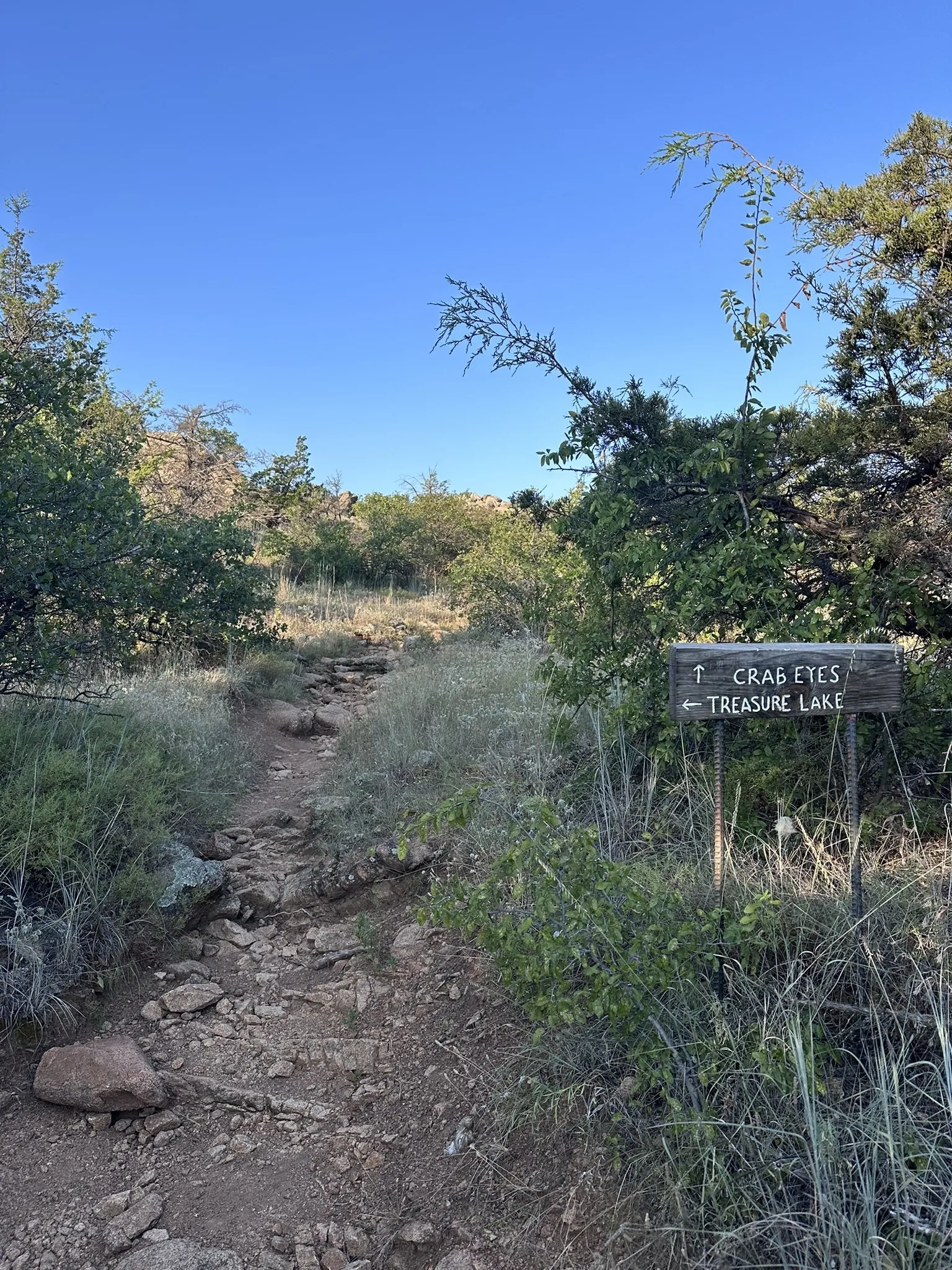 Crab eyes trail in the Wichita Mountains
